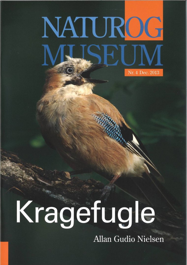 Kragefugle